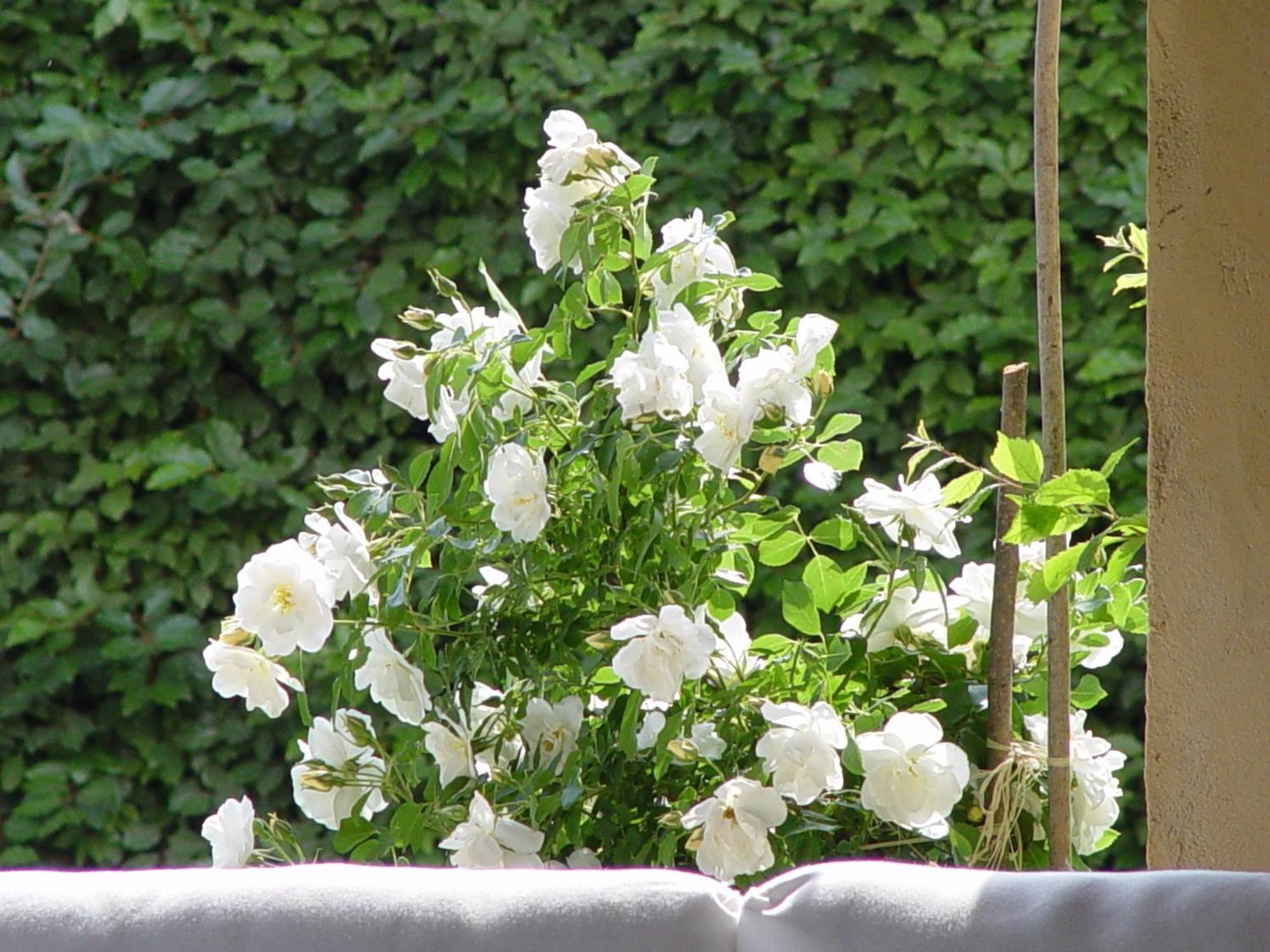 Holiday home La Gueritaulde La Tour-d'Aigues